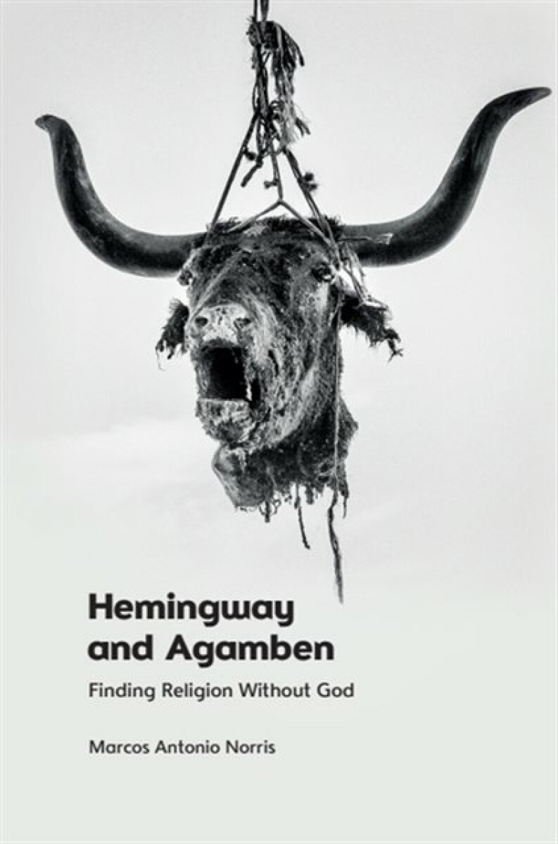 Kniha Hemingway and Agamben