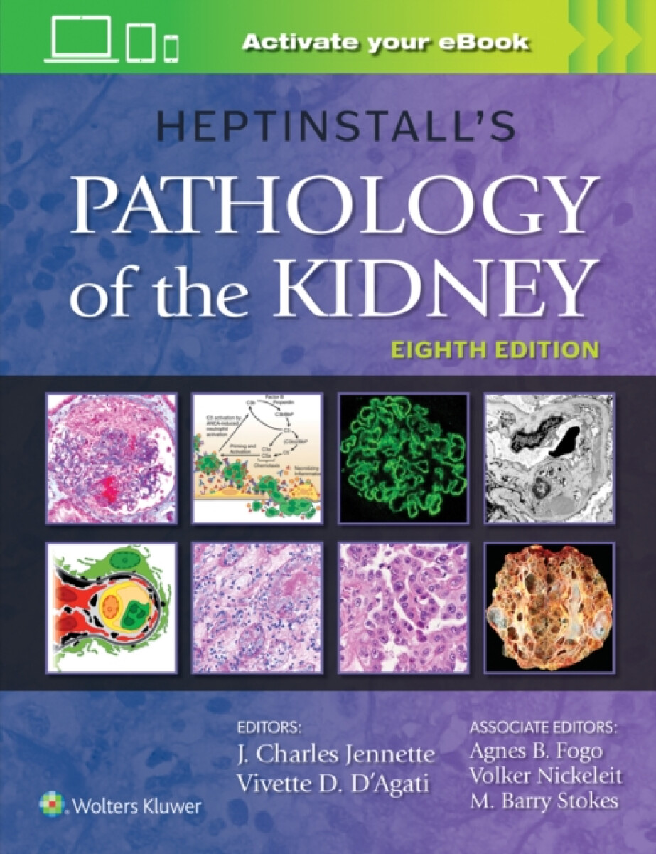 Kniha Heptinstall's Pathology of the Kidney