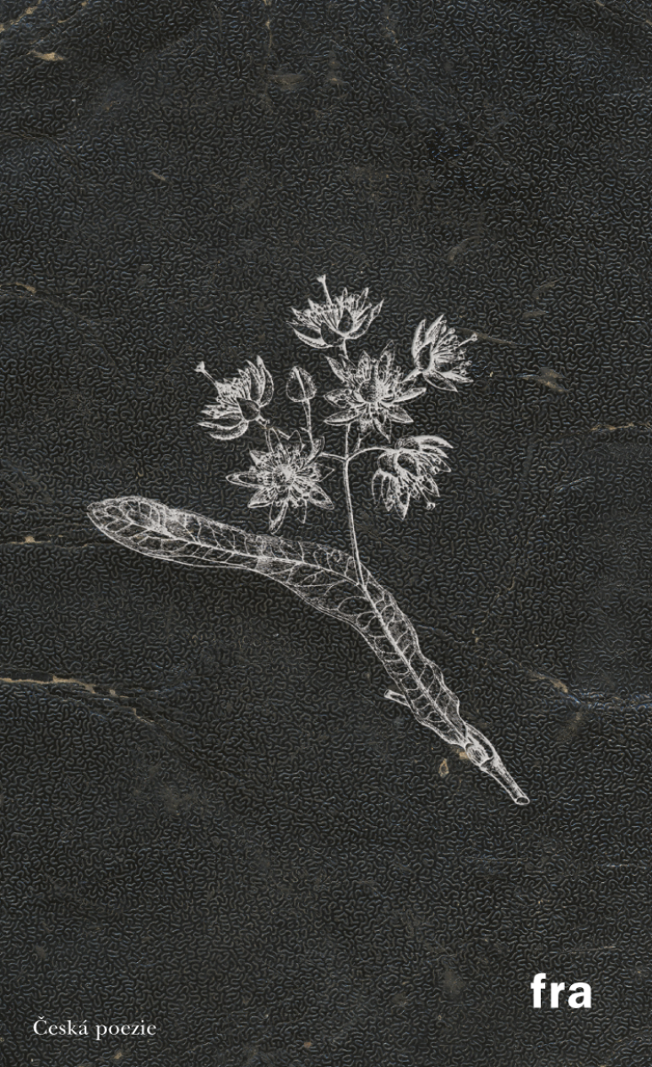 Herbář k čemusi horšímu - Petr Borkovec