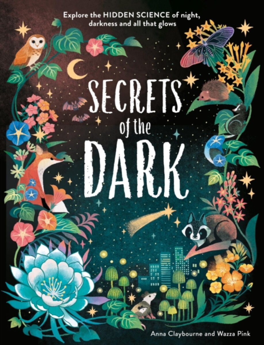 Hachette Children's Group Hidden Science: Secrets of the Dark - Claybourne, Anna