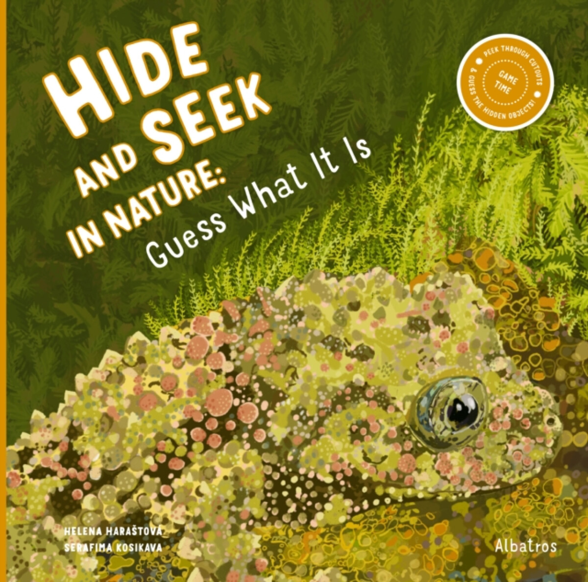 Kniha Hide and Seek in Nature