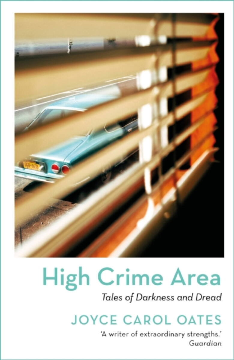 Kniha High Crime Area
