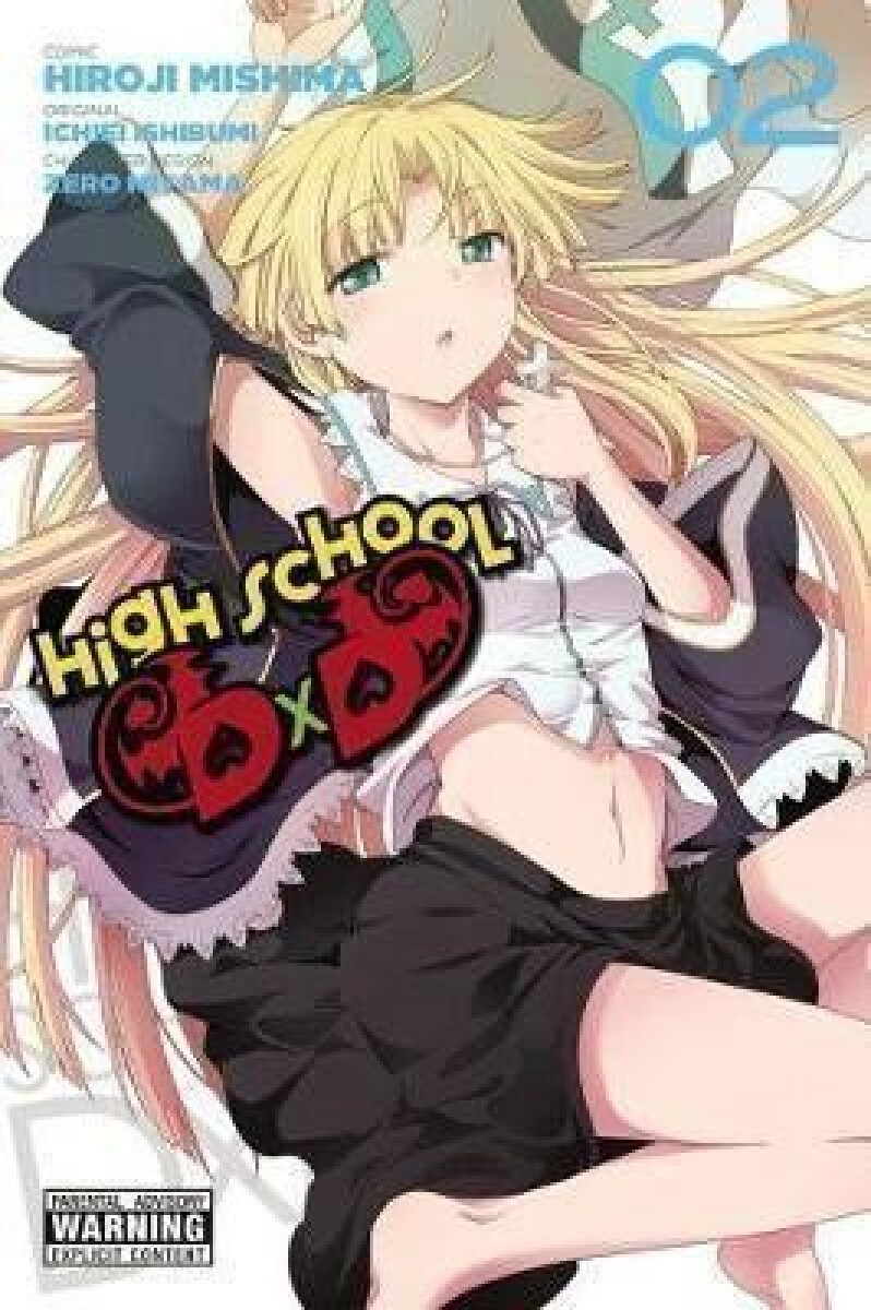 Kniha High School DxD 2