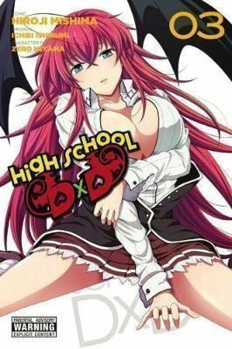 Kniha High School DxD 3