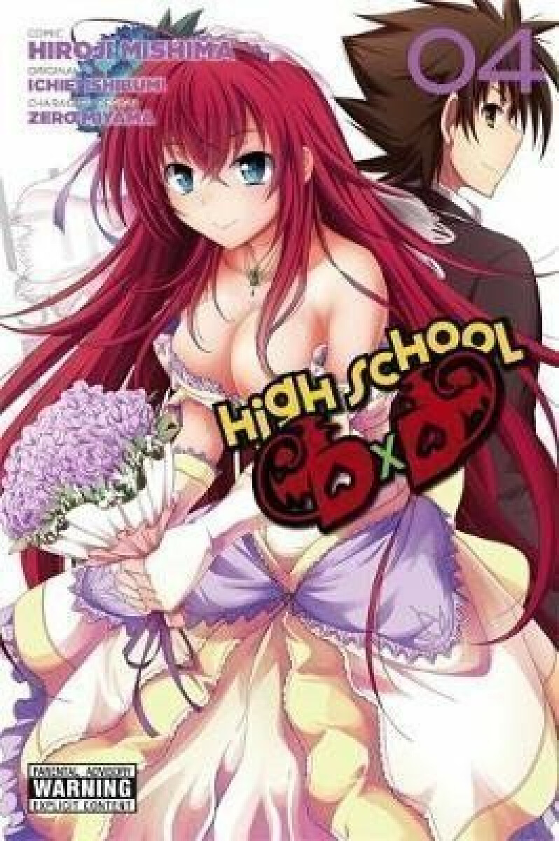 Kniha High School DxD 4