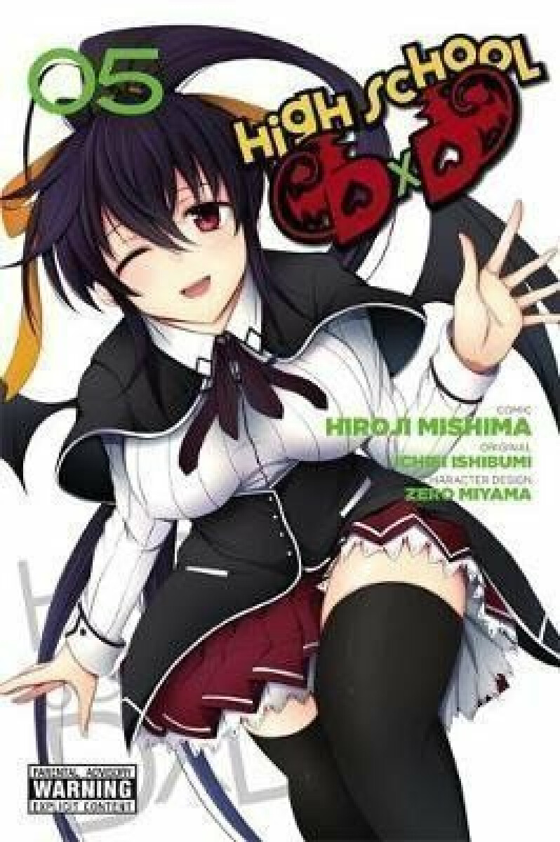 Kniha High School DxD 5