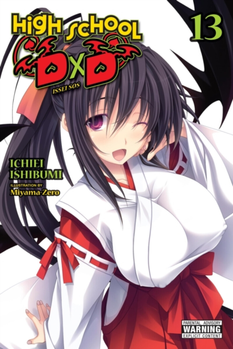 Kniha High School DxD, Vol. 13 (light novel)