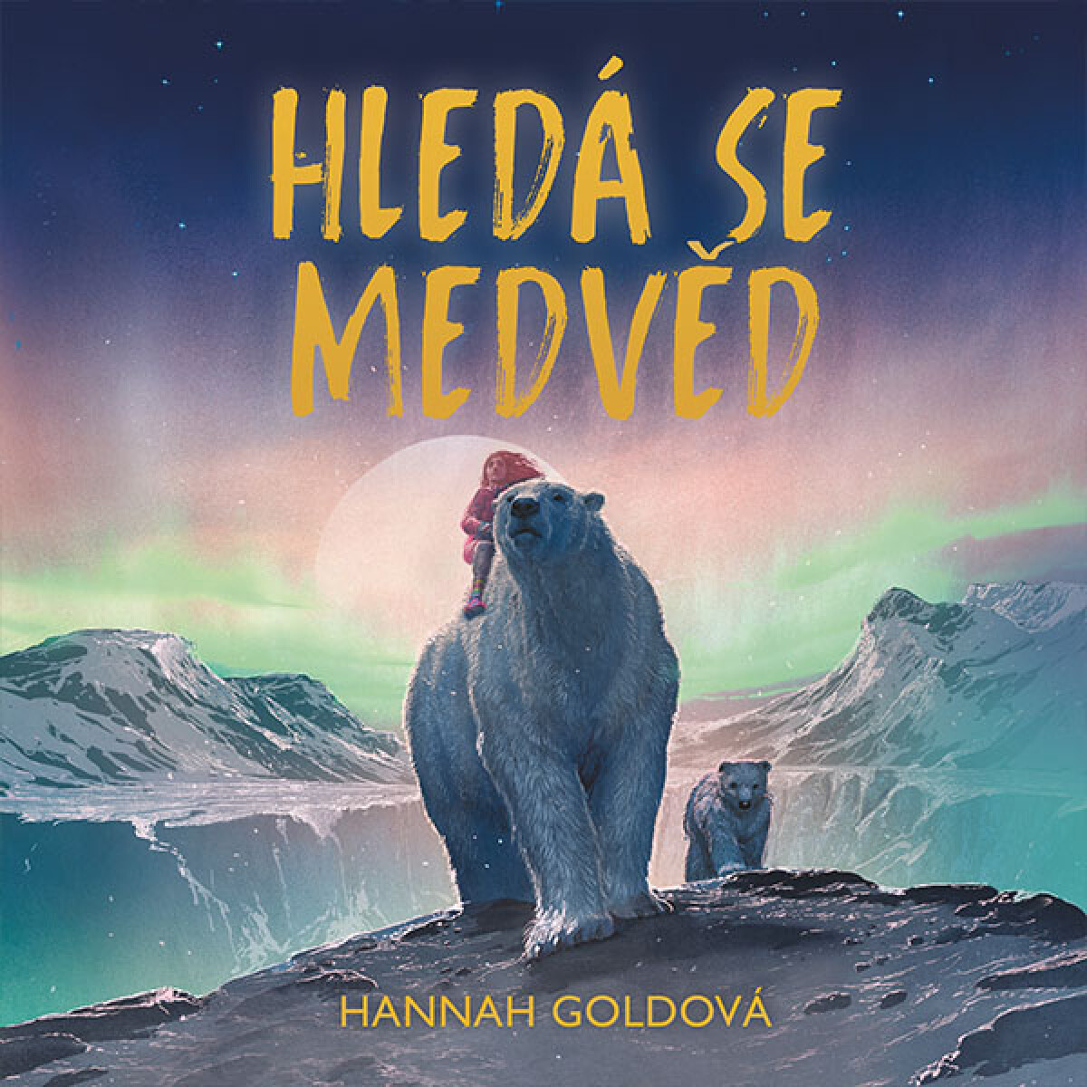 Hledá se medvěd - Hannah Goldová - audiokniha
