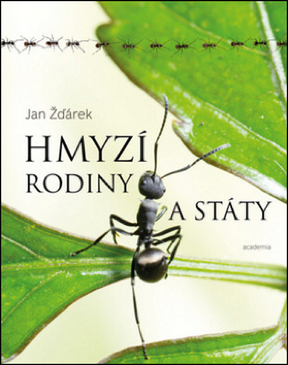 Kniha Hmyzí rodiny a státy