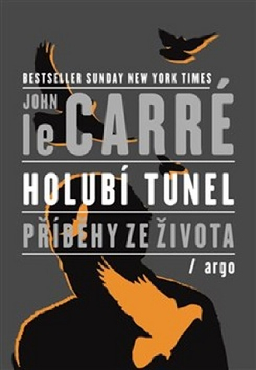 Kniha Holubí tunel