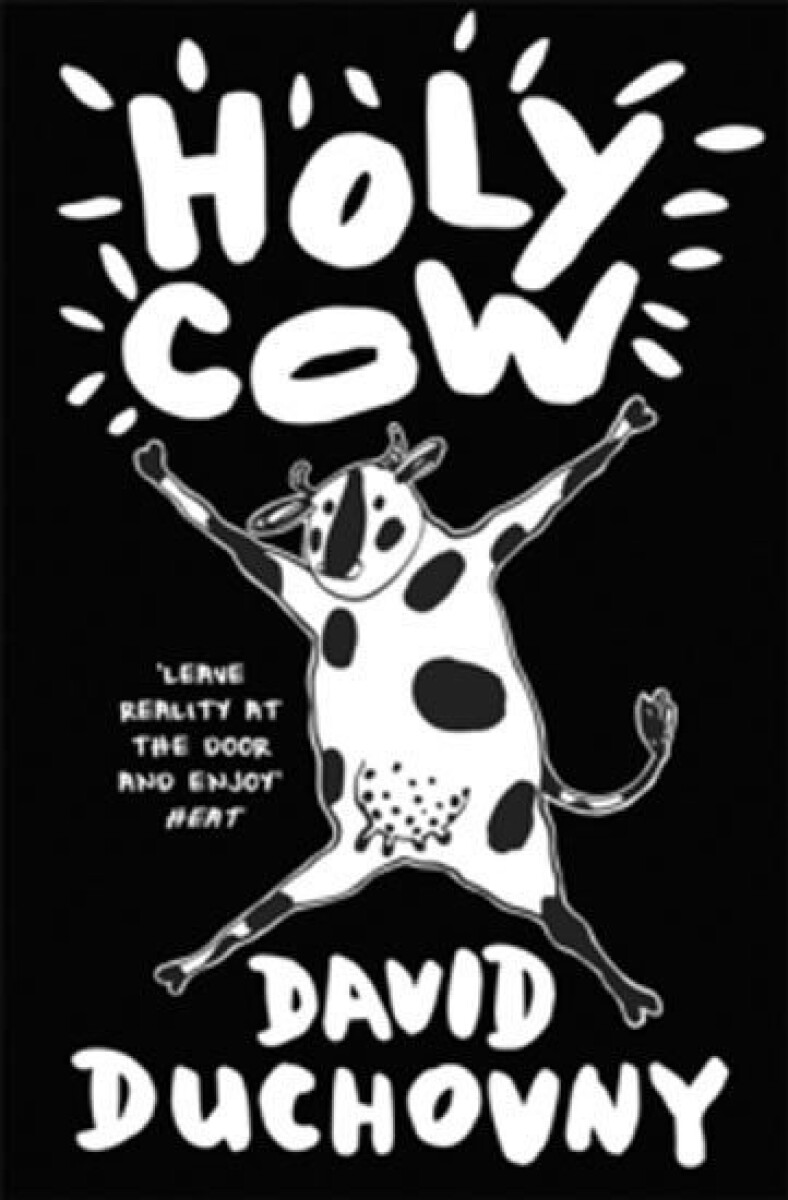 Kniha Holy Cow