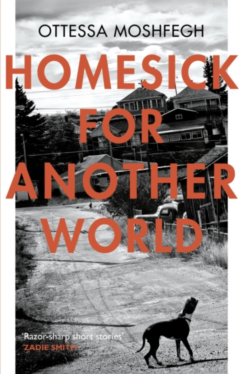 Kniha Homesick For Another World