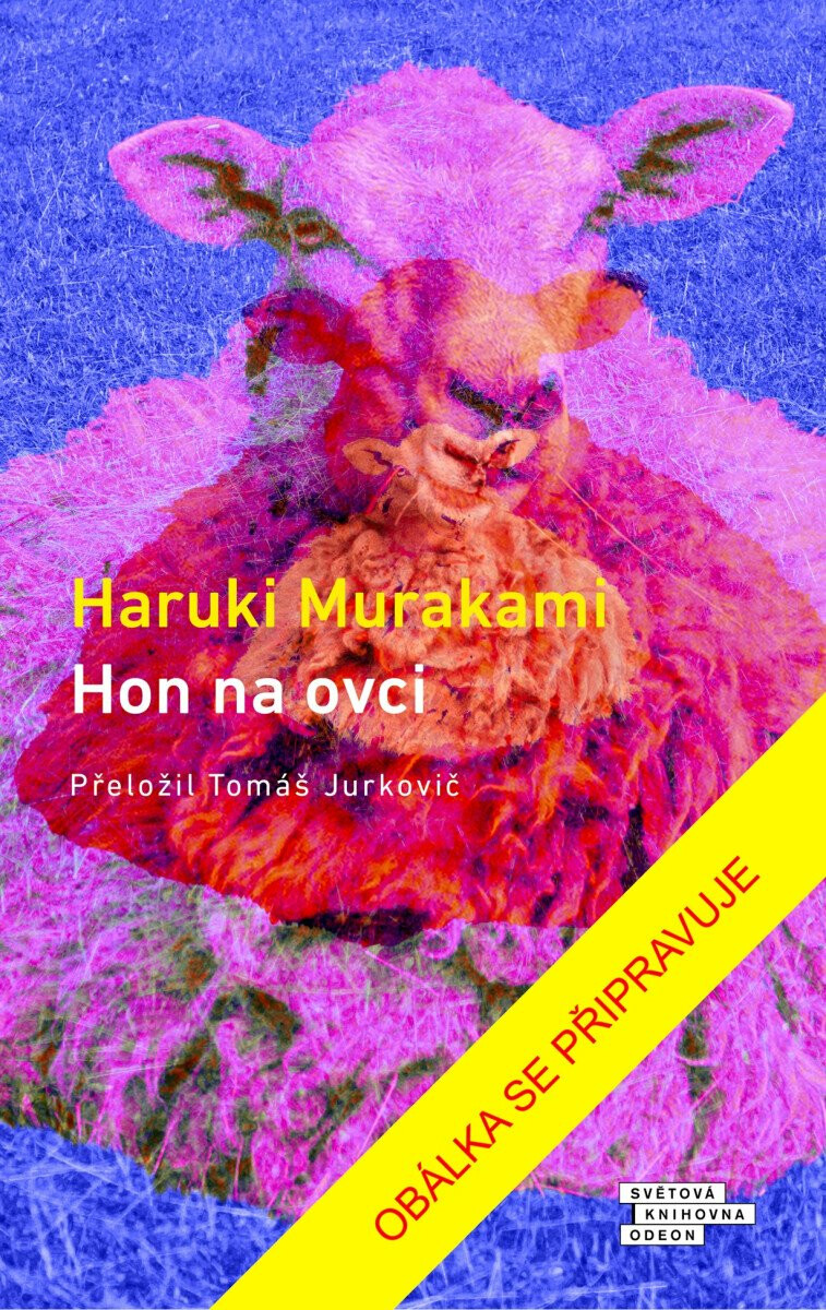 Hon na ovci – Haruki Murakami