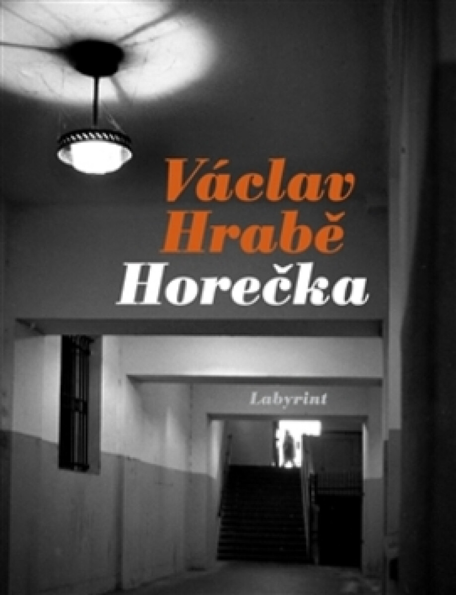 Kniha Horečka