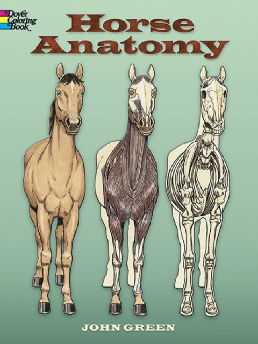 Kniha Horse Anatomy Coloring Book