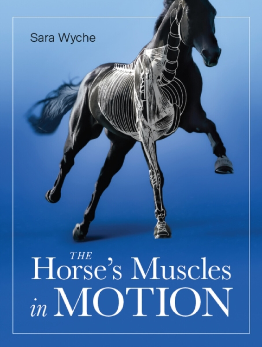 Kniha Horse's Muscles in Motion