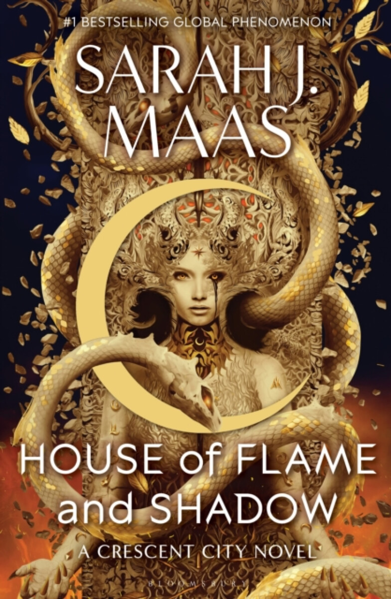 Kniha House of Flame and Shadow