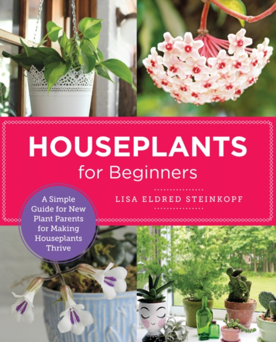 Kniha Houseplants for Beginners