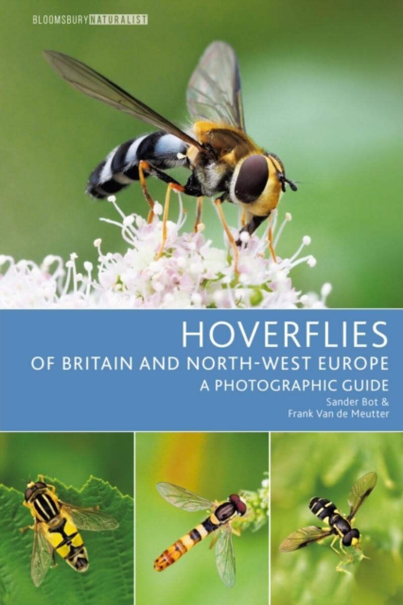 Kniha Hoverflies of Britain and North-west Europe