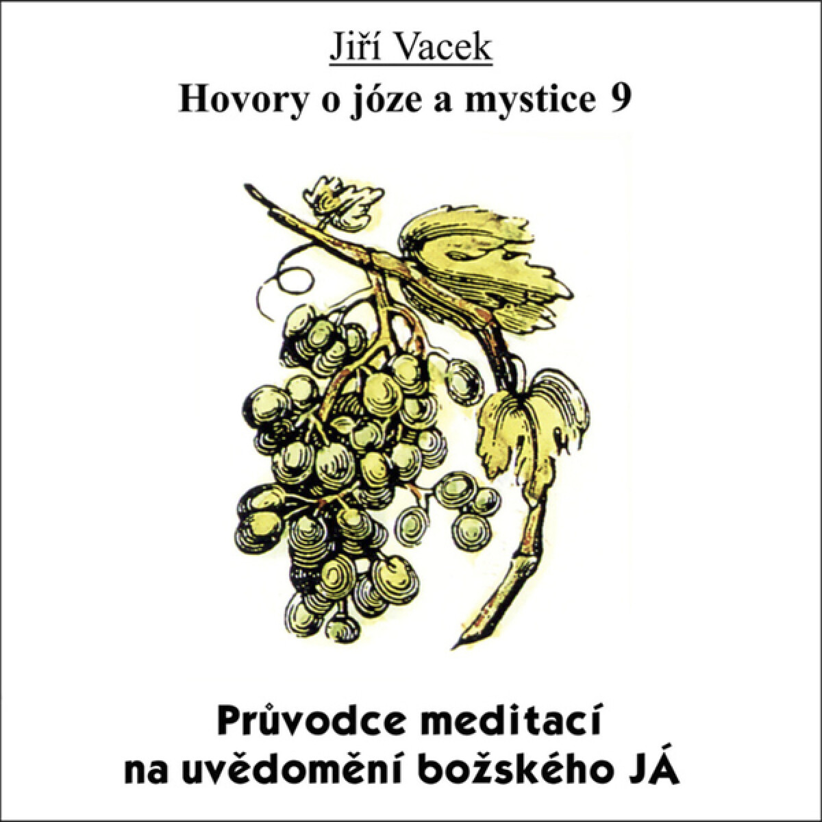Levně Hovory o józe a mystice č. 9 - audiokniha