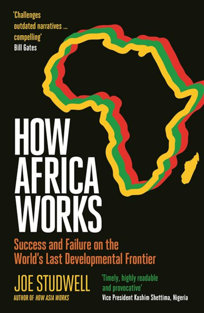 Kniha How Africa Works