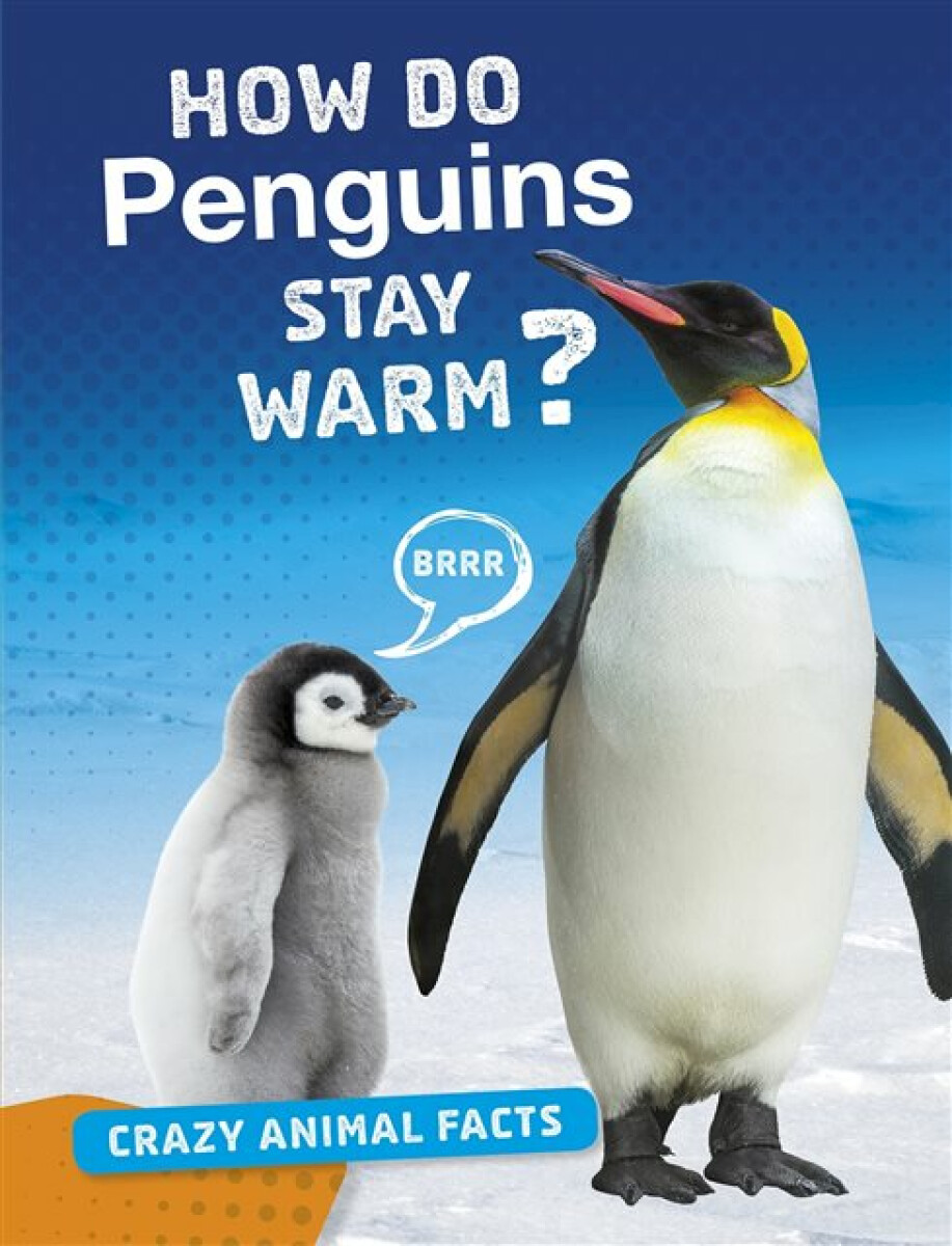 Kniha How Do Penguins Stay Warm?