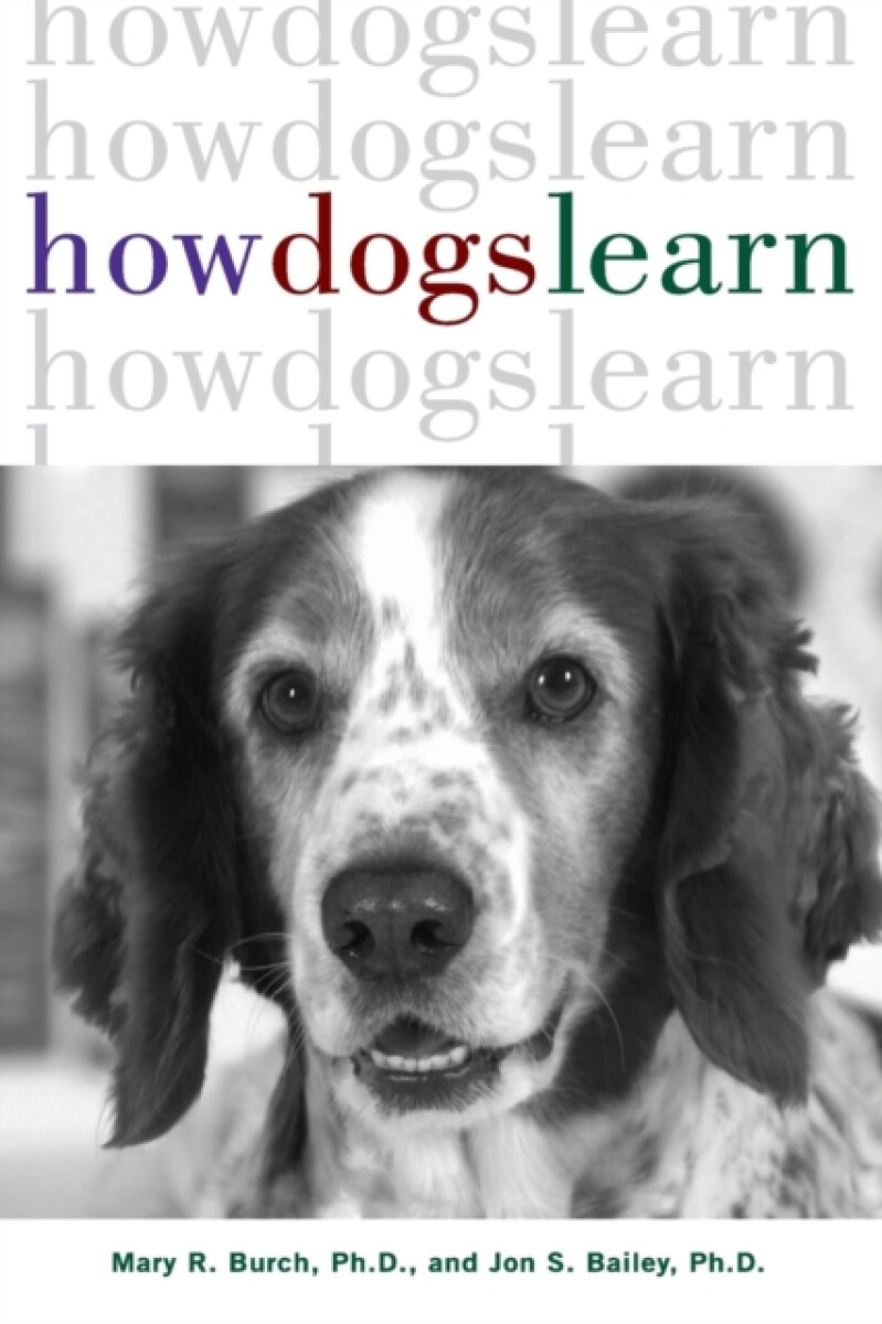 Kniha How Dogs Learn
