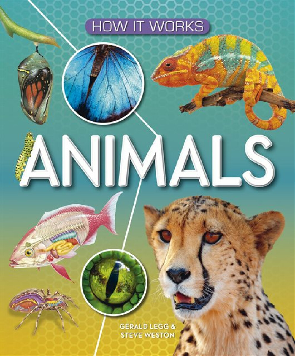 Kniha How It Works: Animals