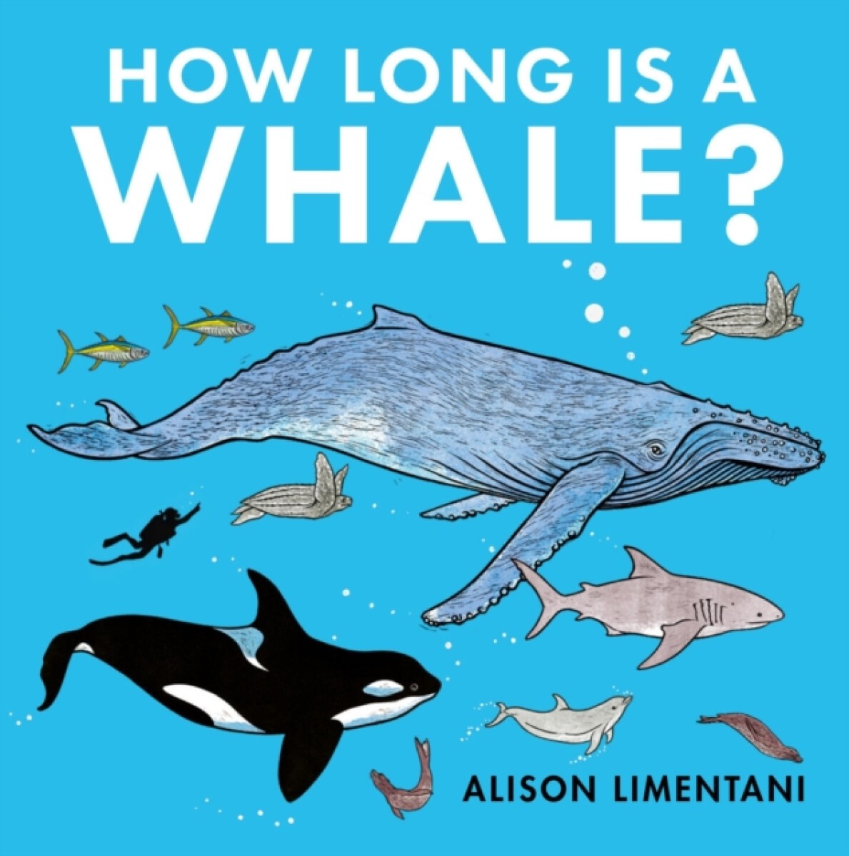 Kniha How Long is a Whale?