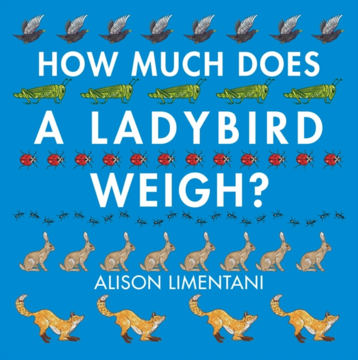 Kniha How Much Does a Ladybird Weigh?