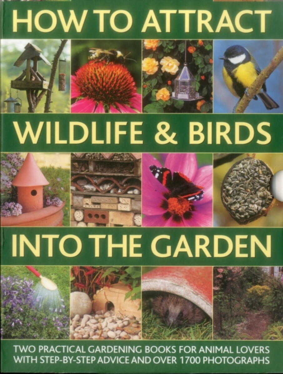Kniha How to Attract Wildlife a Birds into the Garden
