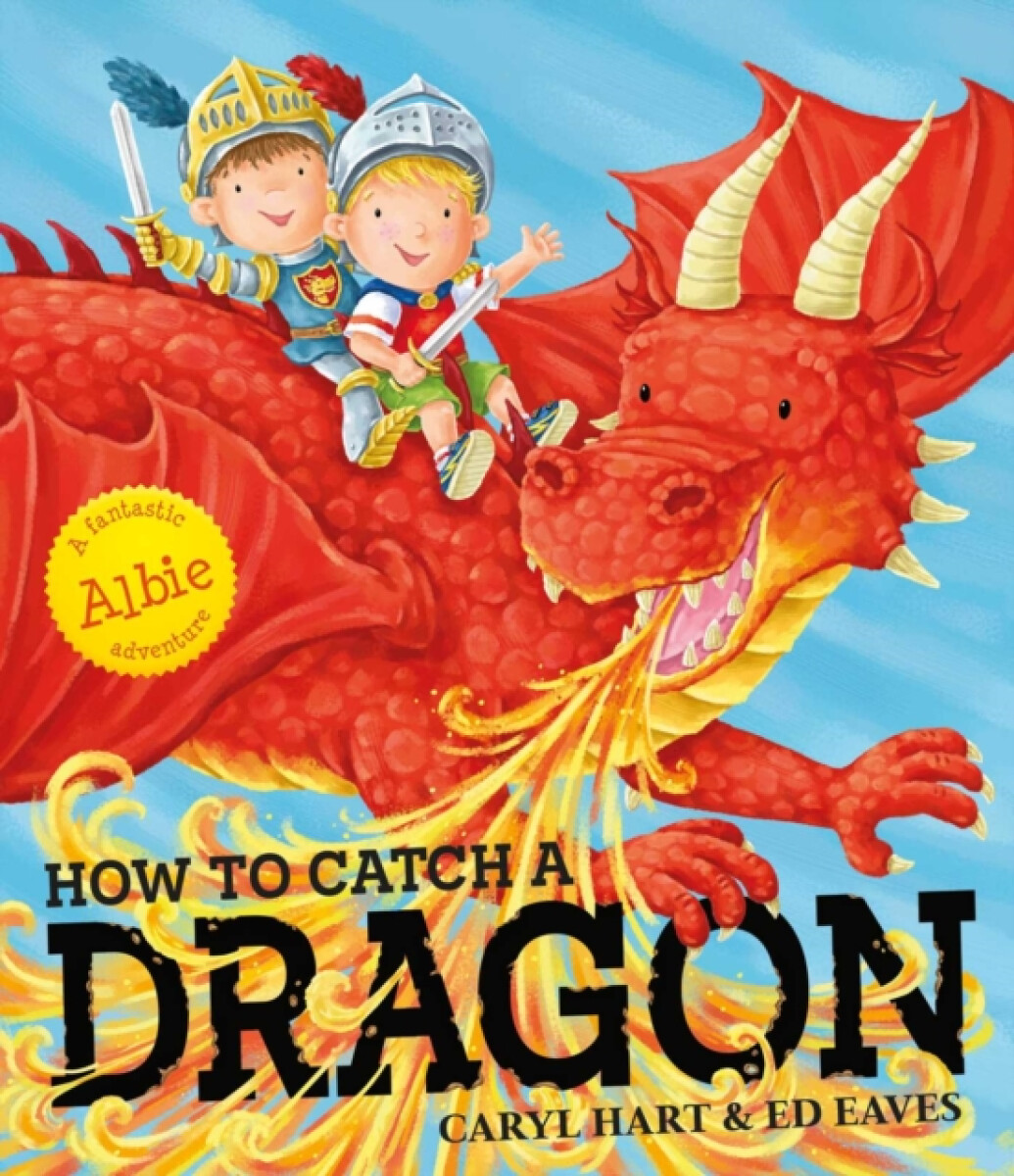 Kniha How To Catch a Dragon