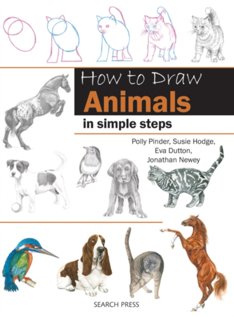 Kniha How to Draw: Animals