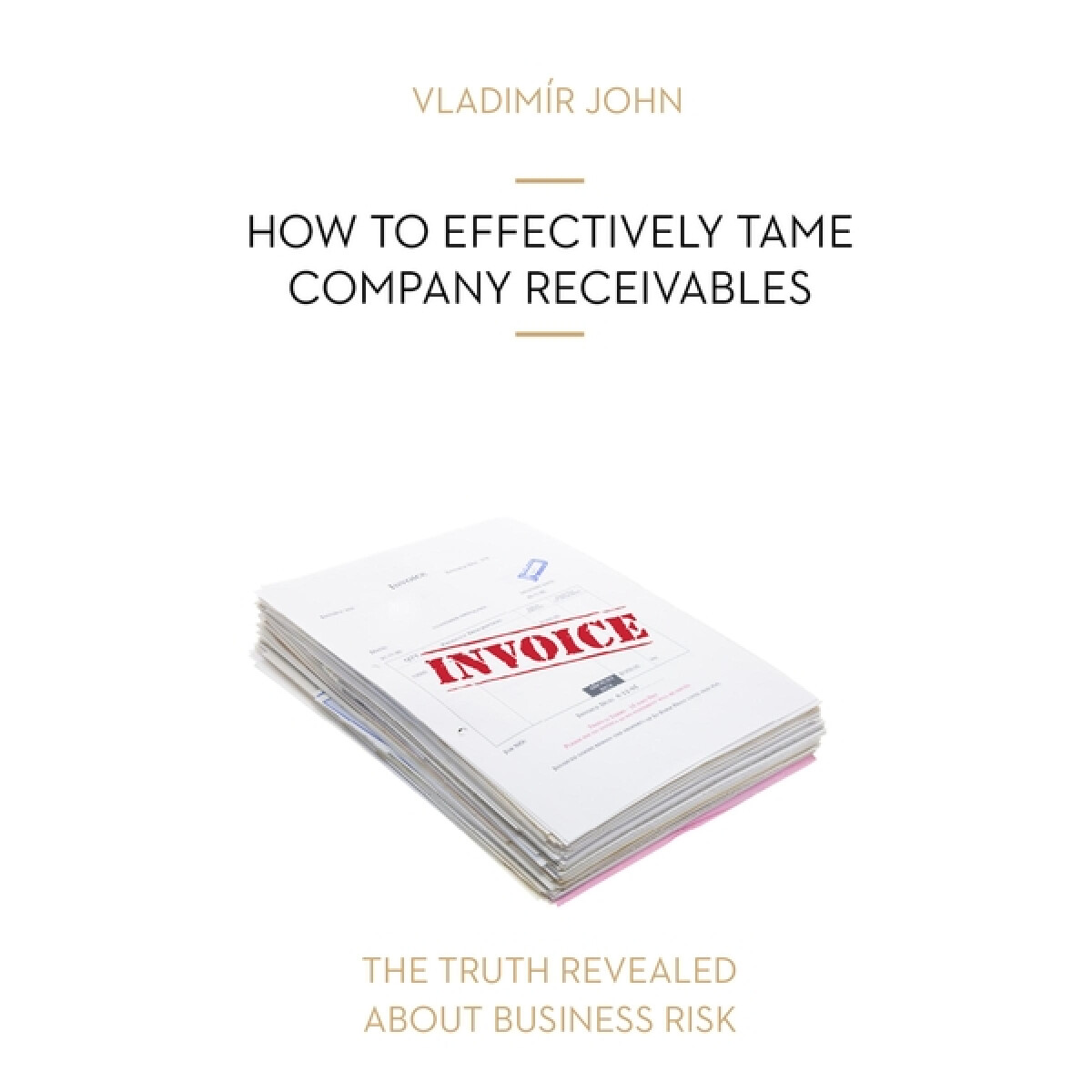Levně HOW TO EFFECTIVELY TAME COMPANY RECEIVABLES - Vladimír John - audiokniha