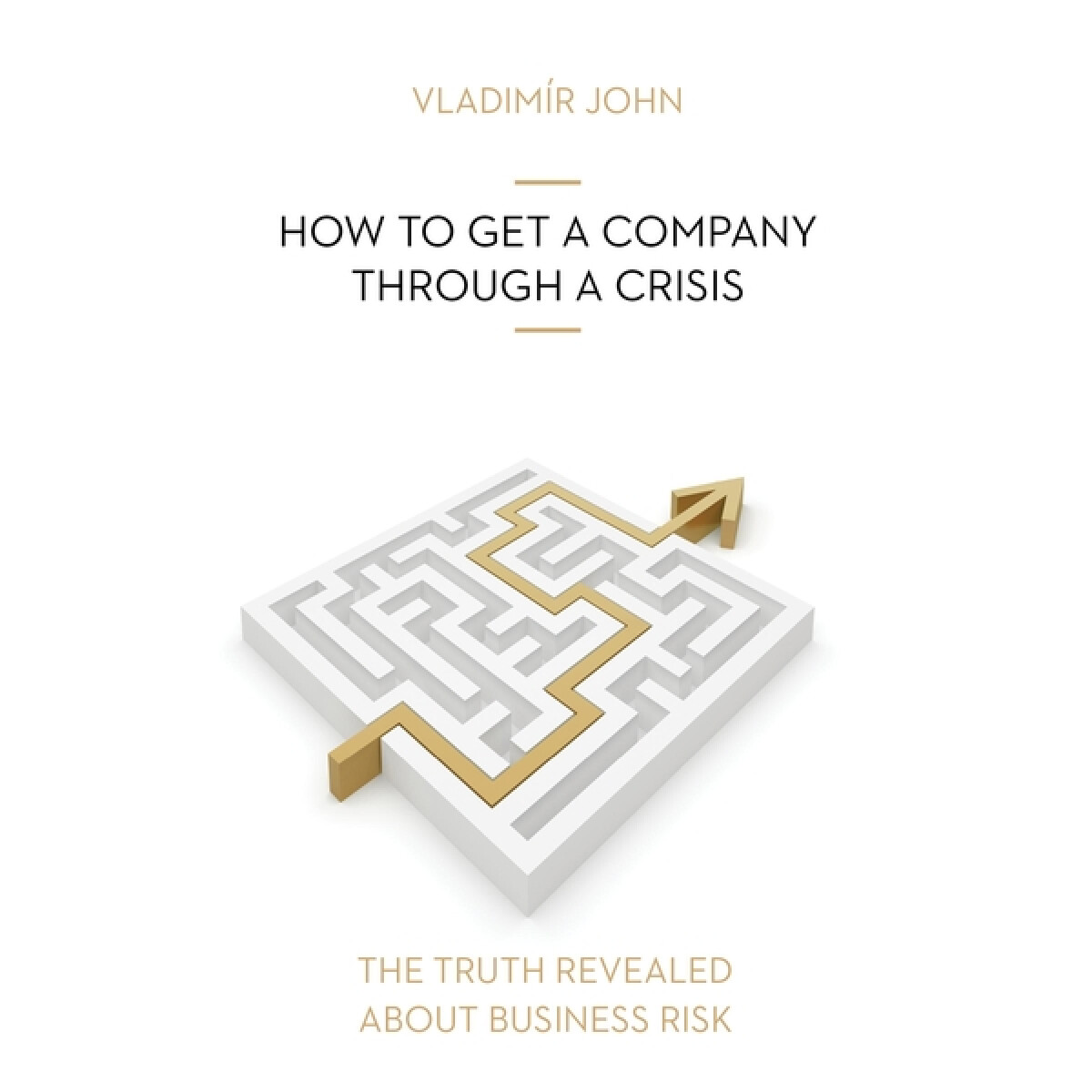 Levně HOW TO GET A COMPANY THROUGH A CRISIS - Vladimír John - audiokniha