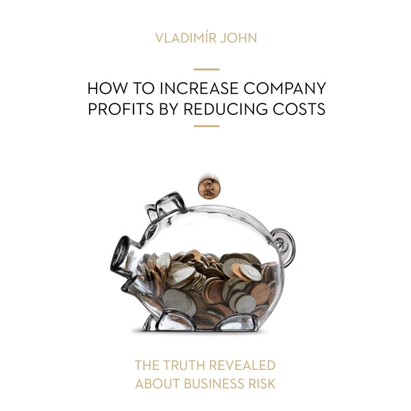 Levně HOW TO INCREASE COMPANY PROFITS BY REDUCING COSTS - Vladimír John - audiokniha