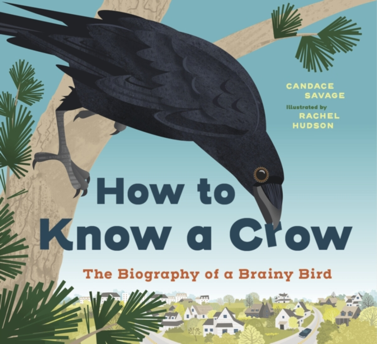 Kniha How to Know a Crow