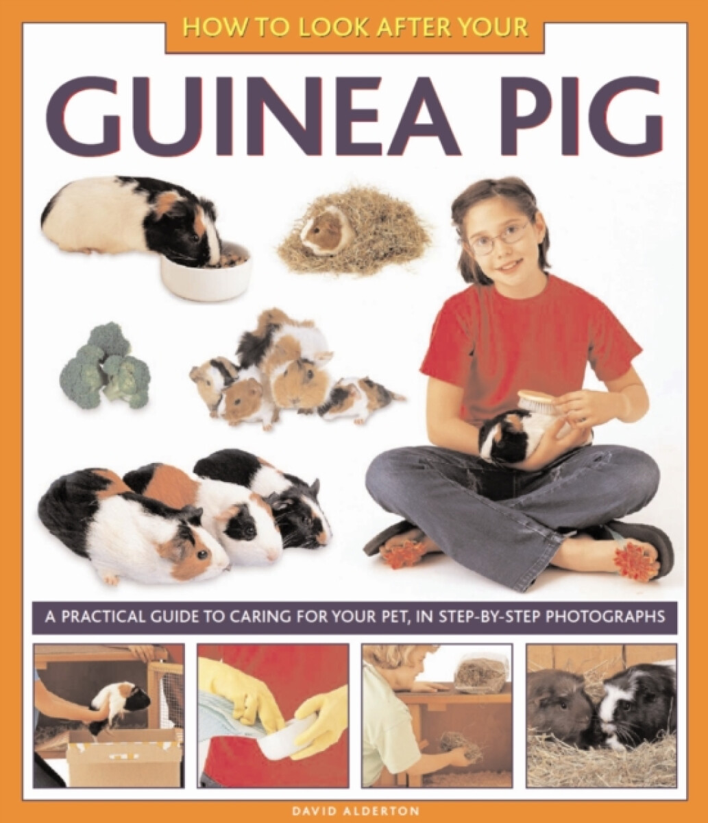 Kniha How to Look After Your Guinea Pig