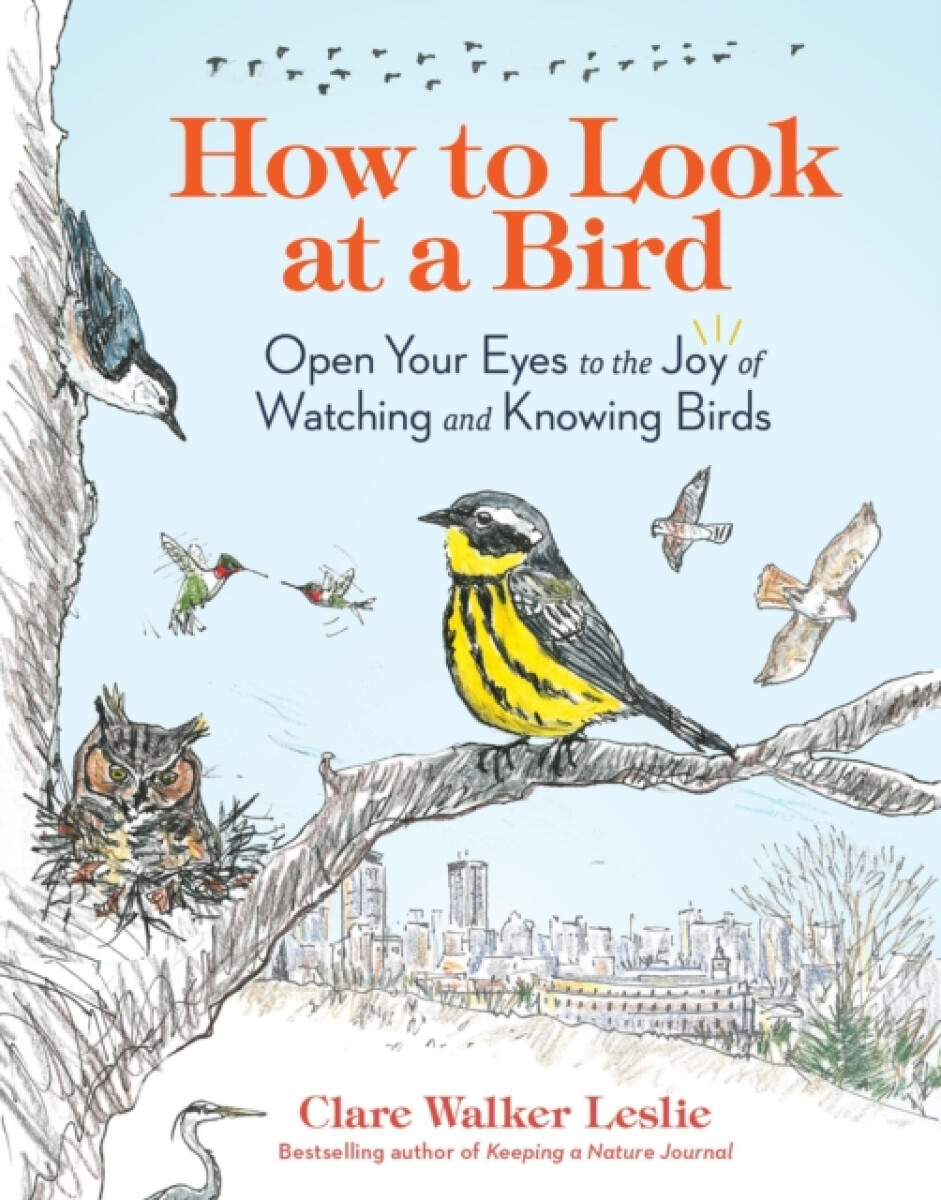 Kniha How to Look at a Bird