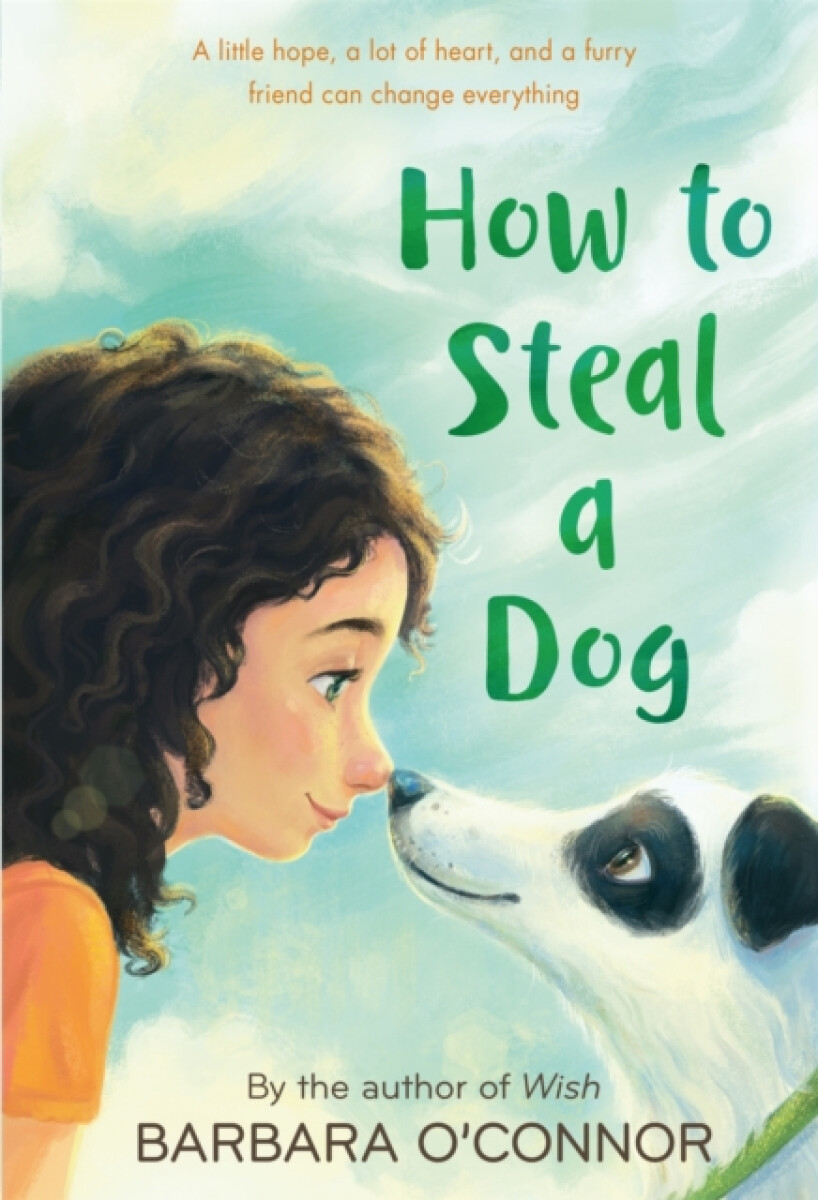 Kniha How to Steal a Dog