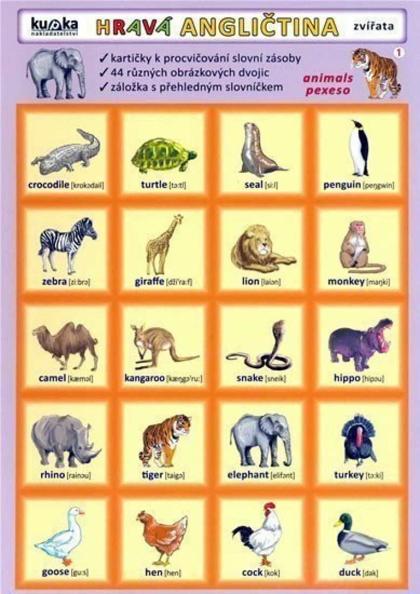 Kniha Hravá angličtina 1 - Zvířata
