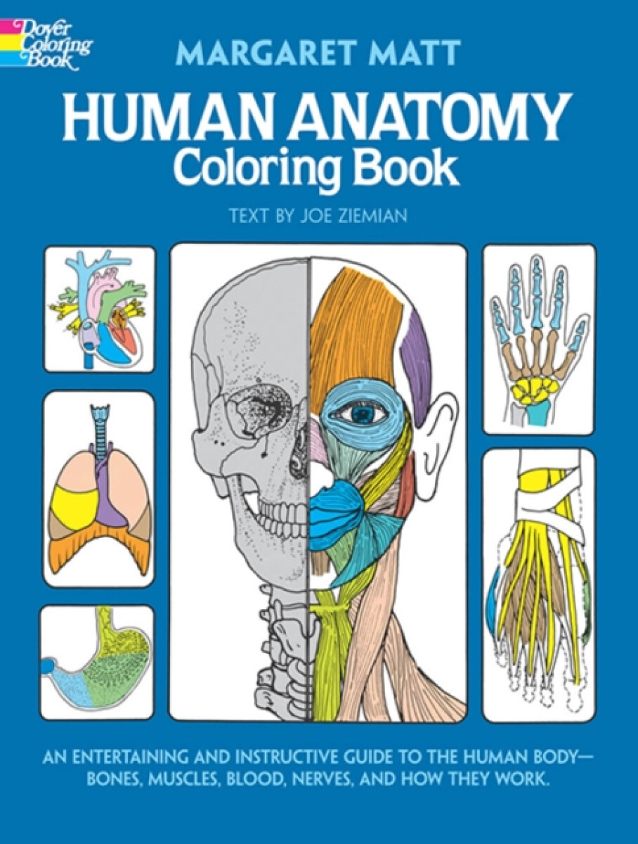 Kniha Human Anatomy: Coloring Book