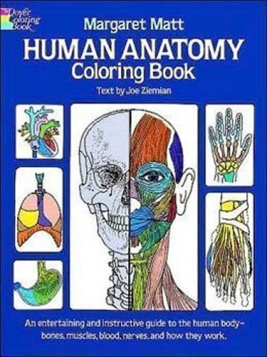 Kniha Human Anatomy: Coloring Book