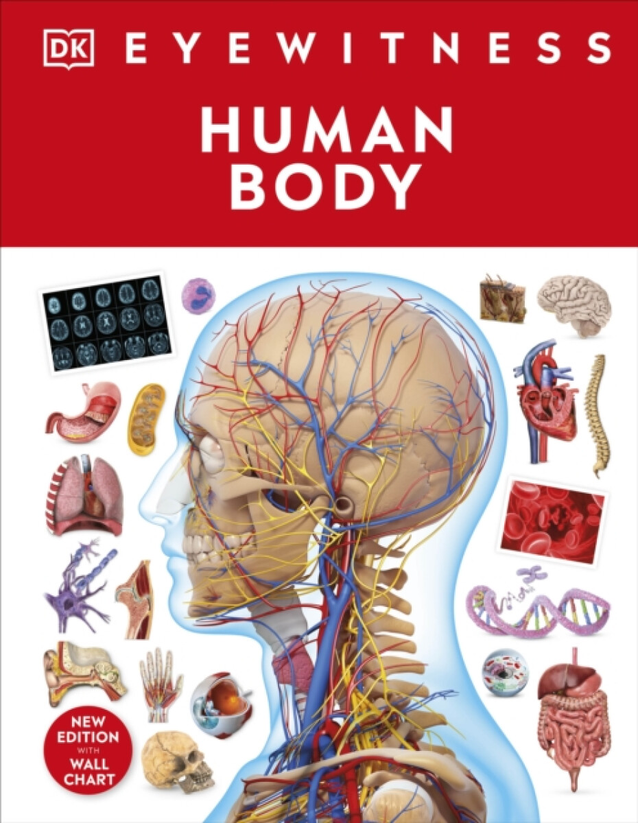 Kniha Human Body