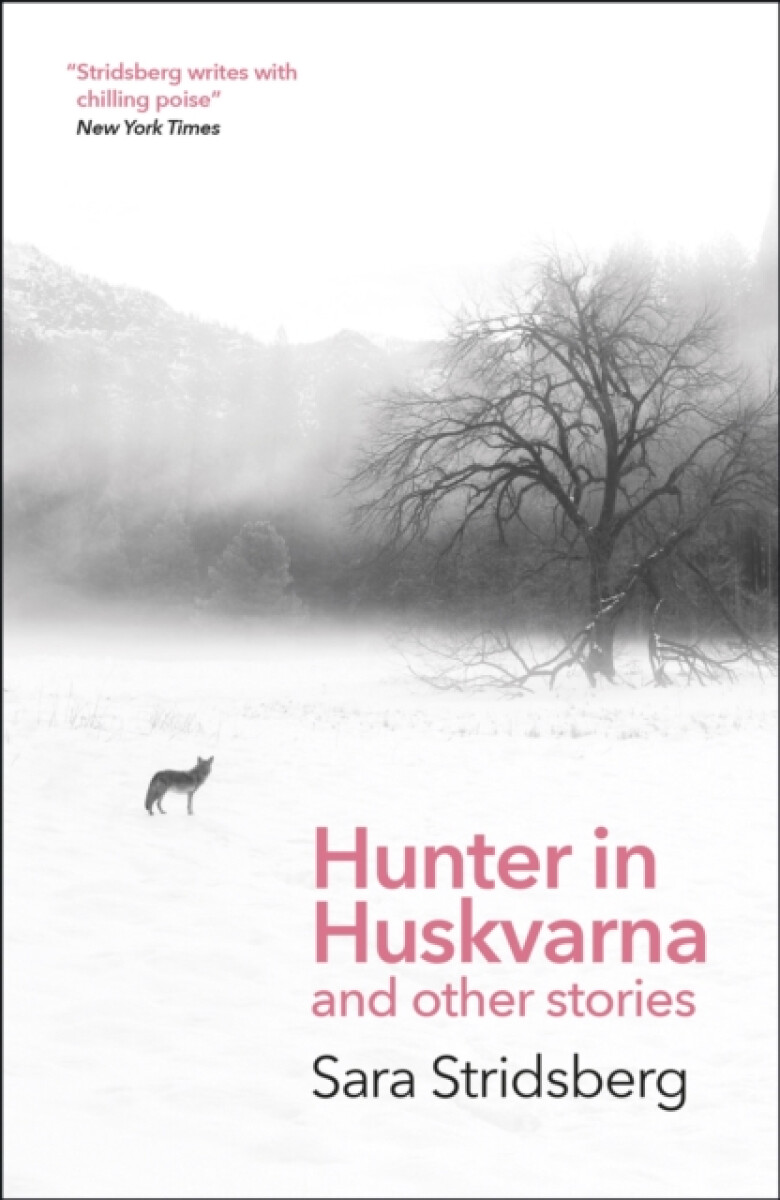 Kniha Hunter in Huskvarna