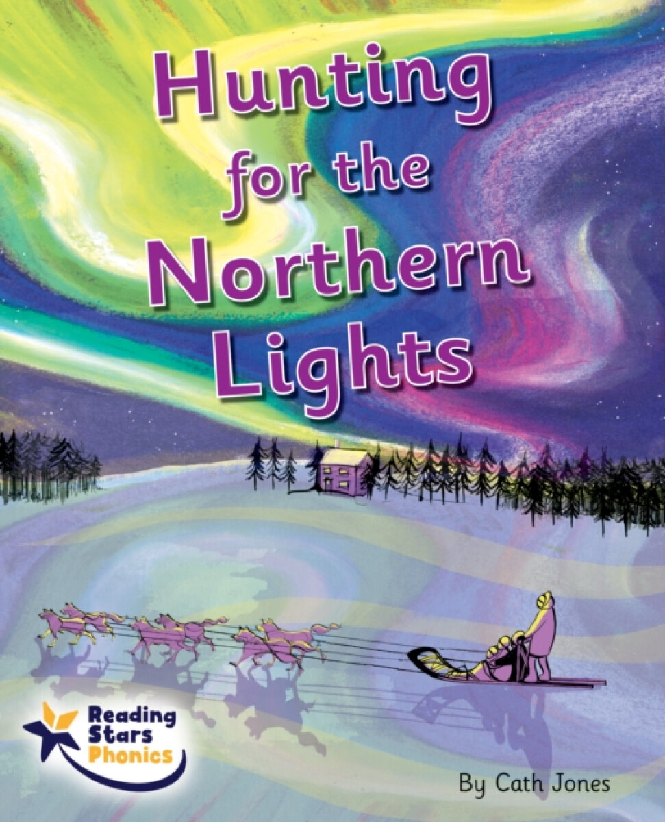 Kniha Hunting for the Northern Lights