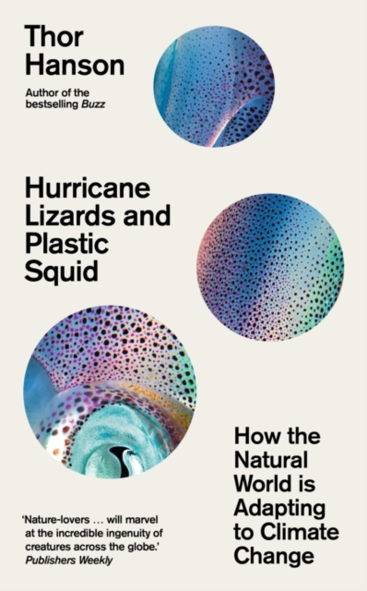 Kniha Hurricane Lizards and Plastic Squid