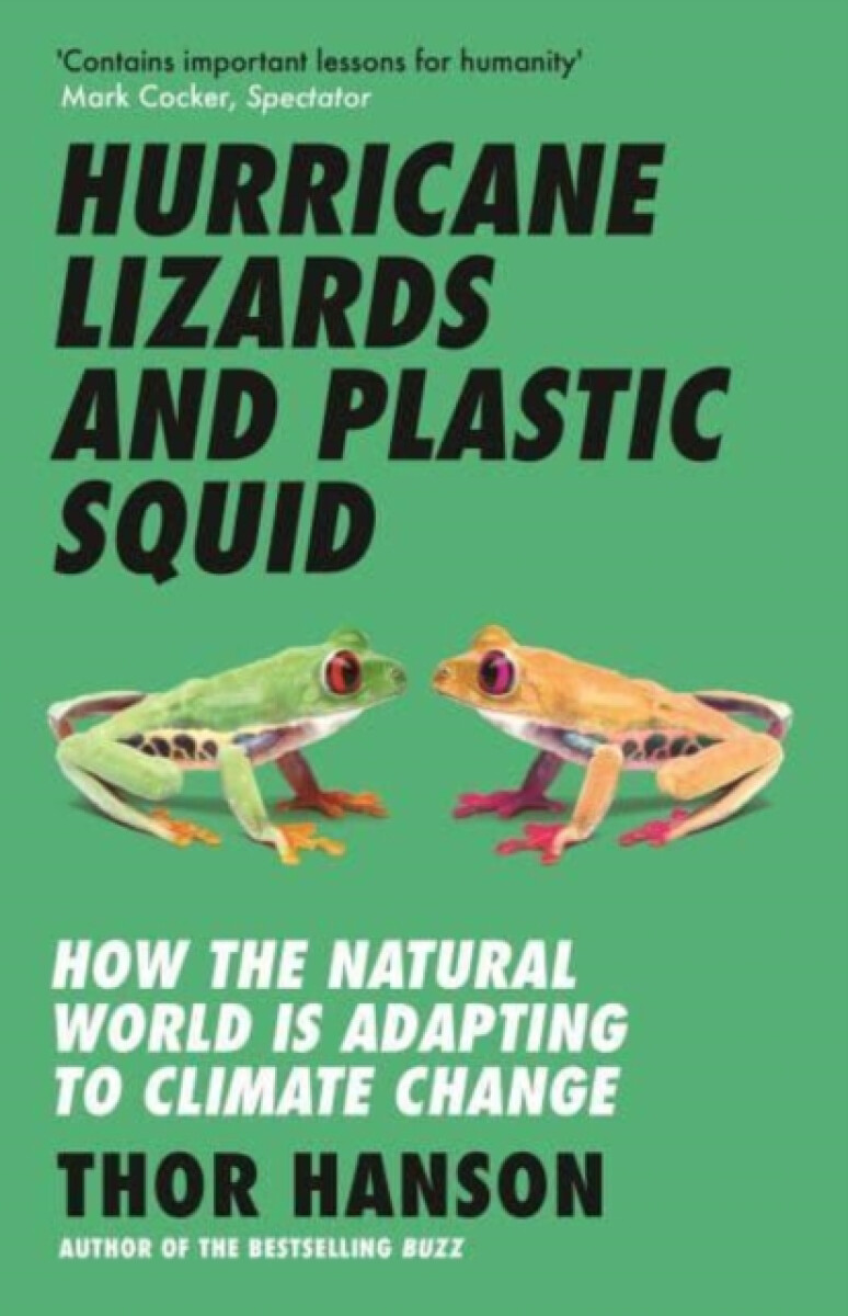 Kniha Hurricane Lizards and Plastic Squid
