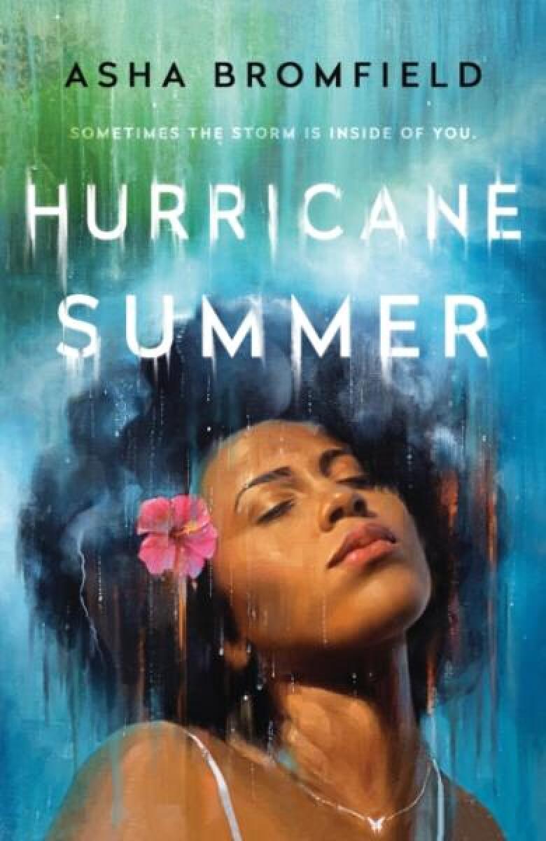 Kniha Hurricane Summer
