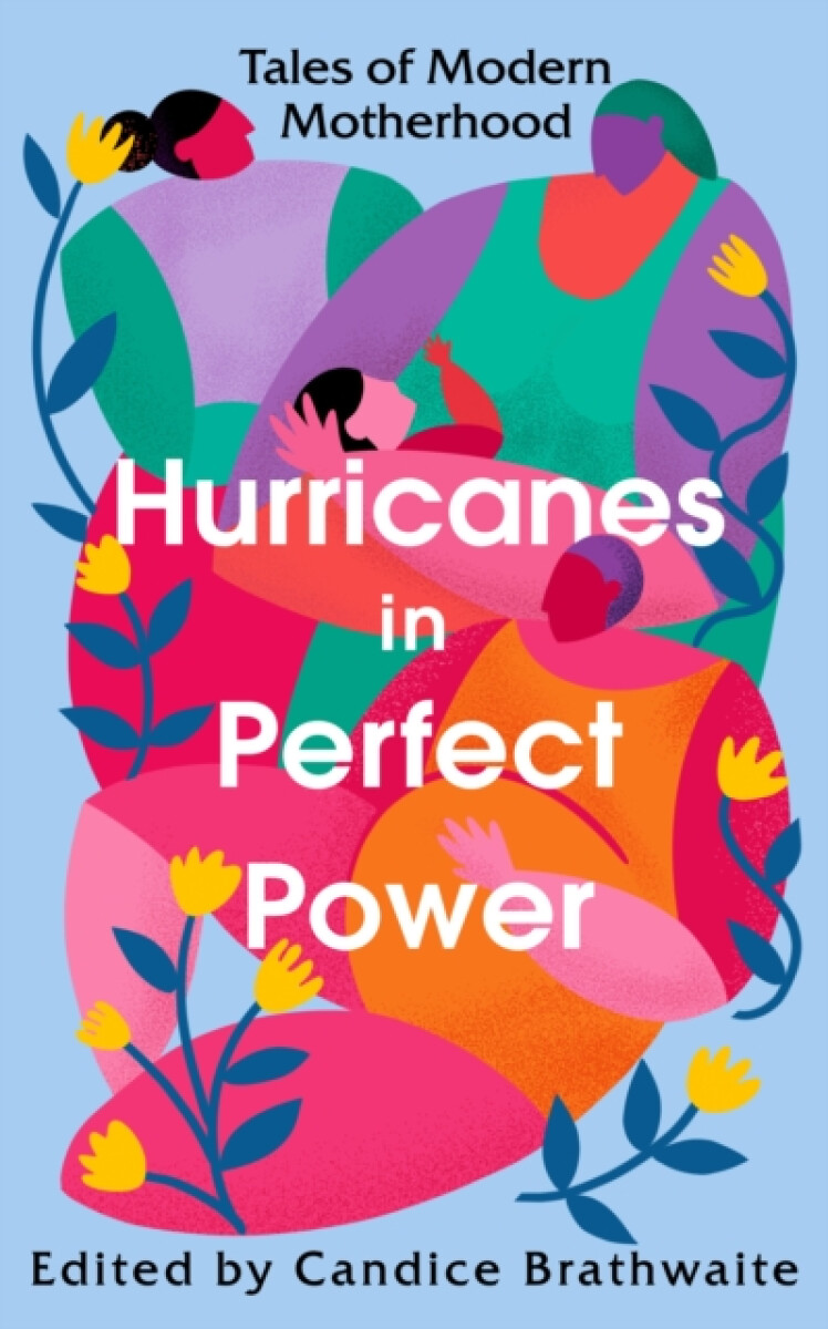 Kniha Hurricanes in Perfect Power